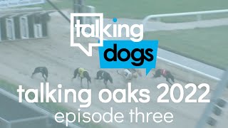 Talking Oaks 2022 Episode 3 Monday 6th June [upl. by Junette]