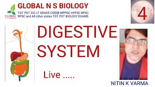 Digestive system Lecture 4 [upl. by Weisburgh]