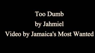 Too Dumb  Jahmiel Lyrics Vershon Diss [upl. by Lennahs]