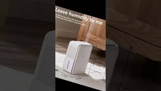 Transform your indoor air with our 3in1 Humidifier Dehumidifier Combo [upl. by Bernstein]