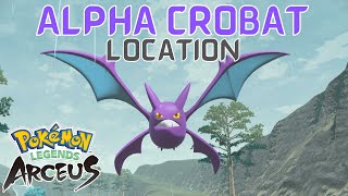 Where to Find Alpha Crobat in Pokémon Legends Arceus  Crobat Location in Pokemon Legends Arceus [upl. by Ober]