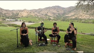 Cacique Torcido  Live Napa Valley [upl. by Gawlas]