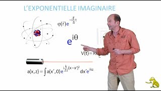 La fonction exponentielle imaginaire [upl. by Eicnahc]