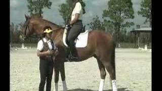 Dressage Teacher Jane Savoie and The quotConnecting Half Haltquot [upl. by Clark]