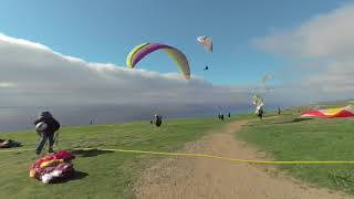 3D VR180 Torrey Pines La Jolla CA [upl. by Florio942]