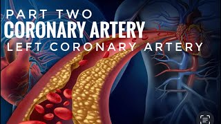 BLOOD SUPPLY OF HEARTPart 2  LEFT CORONARY ARTERY [upl. by Wainwright]