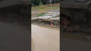 Hard Work With Mini Tool Unclogged Culvert unclog cloggeddrain drain shorts [upl. by Moor]