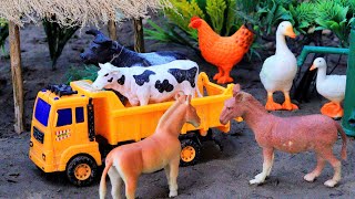 animals video horse dog cow cow hamba matikata trolley tractor cattle  Nov 10 20241053 AM [upl. by Arramas]