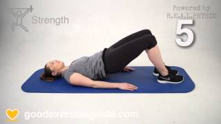 Total Hip Replacement Exercises From 6 Weeks [upl. by Emmit631]