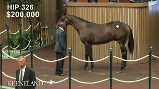 Hip 326 Maxfield  Belle’s Finale sells for 1 million at 2024 Keeneland September [upl. by Landes]