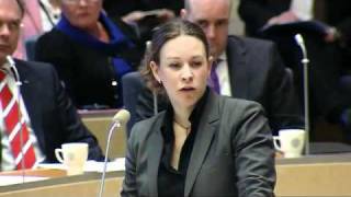 Wetterstrand Mp vs Åkesson Sd partiledardebatt 19 Jan 2011 [upl. by Haila926]