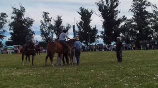 La rubia linda garcilazo VS Gercison pinheiro machado [upl. by Latsyrhc]