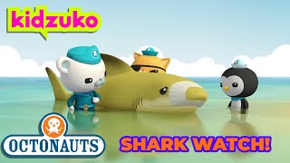 ​Octonauts  🤗 Friendly Neighbhorhood Shark Watch 🦈  Shark Week Marathon  Kidzuko [upl. by Sherurd]