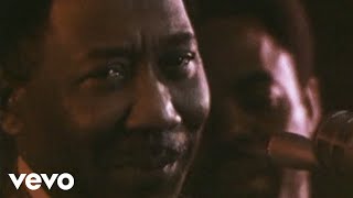 Muddy Waters  Mannish Boy Live [upl. by Lime778]