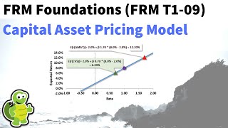 Capital asset pricing model CAPM FRM T19 [upl. by Julianne241]