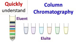 Column chromatography [upl. by Avahc]