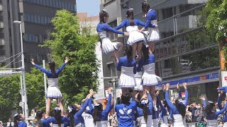 福岡工業大学附属城東高等学校チアリーダー部 BLUE ANGEL『はかた駅前“どんたく”ストリート』in 「第63回（2024年）福岡市民の祭り『博多どんたく港まつり』」20240503 [upl. by Iras795]