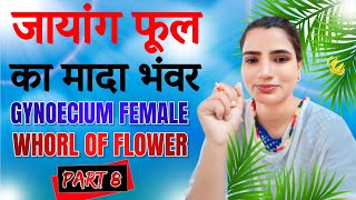 जायांग फूल का मादा भंवर  Gynoecium Female whorl of flower  Part 8  Mujahida Parveen Saifi [upl. by Binky]