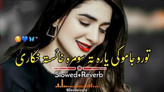 Toro Jamo Ki Yara Ta Sumra Khayista Khakare 🥰  Slowed And Reverb  Pashto New Song  Deedanoona [upl. by Alenairam]