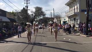 The NOLA Showgirls perform in the 2017 Krewe of Carrollton parade [upl. by Devonna237]