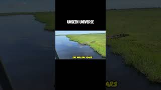 Crocodile Wow Fact facts unseenuniverse [upl. by Bayard930]