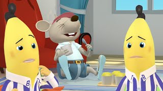 Rat Cant Contain Himself  Bananas in Pyjamas Season 2  Full Episodes  Bananas In Pyjamas [upl. by Atikehs]