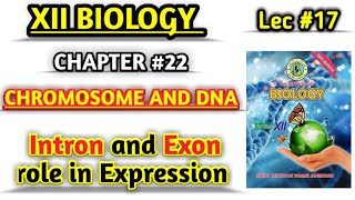 Role of Introns and Exon in Gene Regulation  lec 17 Chromosomes and DNA class 12 [upl. by Aiym]