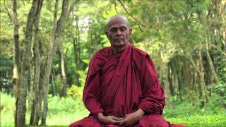 Four Foundations Of Mindfullness  Part 1  Bhante Henepola Gunaratana [upl. by Esilahs]