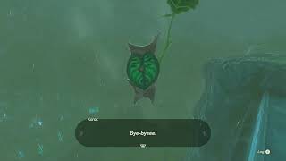 Korok Seed 502 Veiled Falls  The Legend of Zelda Tears of the Kingdom [upl. by Ginevra]