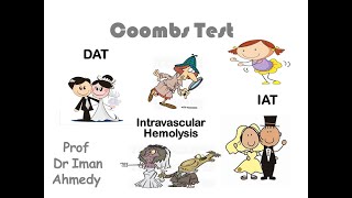 Coombs test [upl. by Charis]