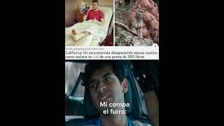 La puma calentona memes fakenews animales [upl. by Alisha810]