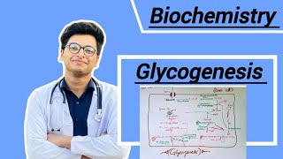 Glycogenesis glycogen metabolism [upl. by Sadoff]