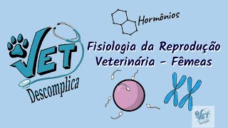 Fisiologia da Reprodução Veterinária  Fêmeas  Vet Descomplica [upl. by Hughett442]