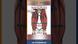 How to Prevent Knee InjuriesDrKunal PatelBest Orthopedic Suregon In Chennai sportsinjury [upl. by Seavir449]