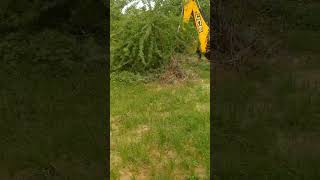 JCB Removing thorn Trees in Farm [upl. by Sidell]