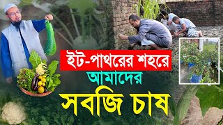 ইট পাথরের শহরে শায়খ আহদুল্লাহর সবজি চাষ। কিছু মনোরম দৃশ্য কিছু নিবেদন। [upl. by Moina]