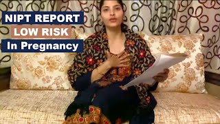 NIPT Test Report Low Risk अब आगे क्या करे  NIPT test for pregnancy Low Risk means [upl. by Aidiruy]