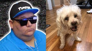 Tipster Said what About Keemstars Dog [upl. by Akimehs]