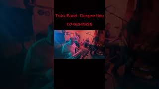 TotoBand  Despre tine party cover [upl. by Fry791]