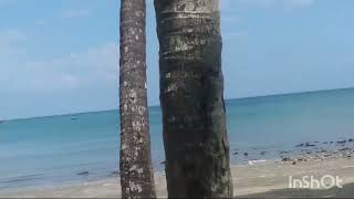 Corbyns Cove Beach in Port Blair Andaman Nicobar islands [upl. by Pinkerton]