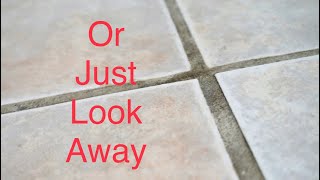 Easy DIY Grout Cleaner [upl. by Kisor]