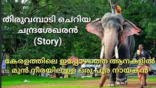 Thiruvambady Chandrasekharan Full Story in Malayalam [upl. by Aramak585]