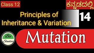 Class 12  Genetics ಕನ್ನಡದಲ್ಲಿ  14 [upl. by Efron922]