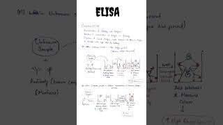 ELISA  ELISA Test  Enzyme linked immunosorbent assay  Types of ELISA  Direct and Indirect ELISA [upl. by Ecenahs]