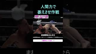 矢地くんの人間力で宇佐美を完封 rizin 矢地祐介 宇佐美正パトリック ライジン rizin48 rizinconfessions shorts [upl. by Eat]