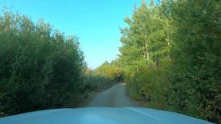 4K Driving from Lily Lake Campground to Fish Lake Campground in the Steen Mountains of Oregon [upl. by Clareta431]