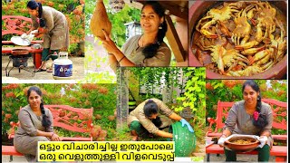 ദൈവമേ ഇതുപോലെ ഒരു വെളുത്തുള്ളി വിളവെടുപ്പു നിങ്ങൾ ആരും കണ്ടിട്ടുണ്ടാവില്ല ഞണ്ടു കറിയും OUTSIDE VLOG [upl. by Iot552]