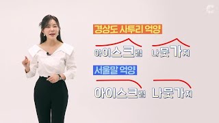 사투리 교정법 서울말을 쓰고 있다 말하는 지방러들에게 quotquot지↗금 서울↘말 썼는데quot [upl. by Gerome916]