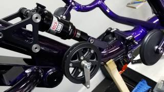 CATRIKE CANDY PURPLE DUMONT FRAME  LAID BACK CYCLES [upl. by Narbig]