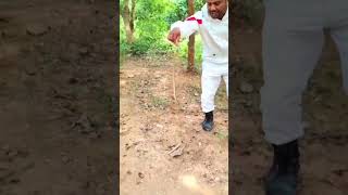 Cobra Snake Releasing🐍 snakesaverkaranpal youtubeshortviralvideo karanpal shortsvideo cobraman [upl. by Olegnad]